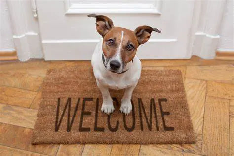 Dog doorbell discount mat