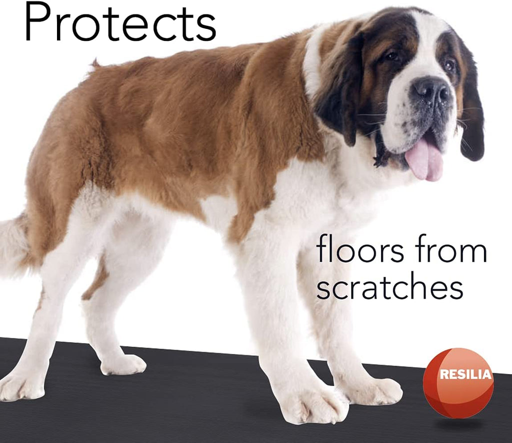 Large dog on top of utility runner to protect floors from scratches