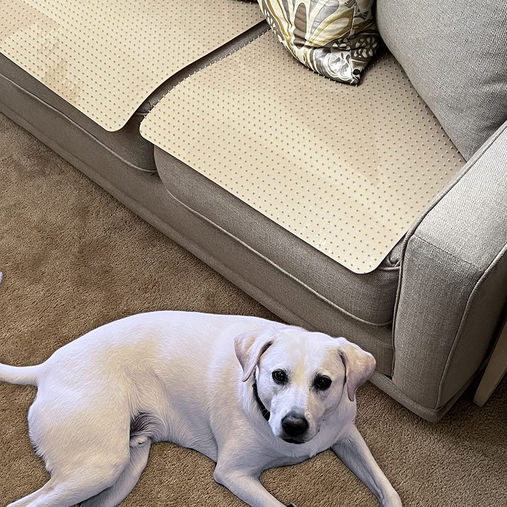 dog on living room carpet floor while pet deterrent tiles are on top of the couch