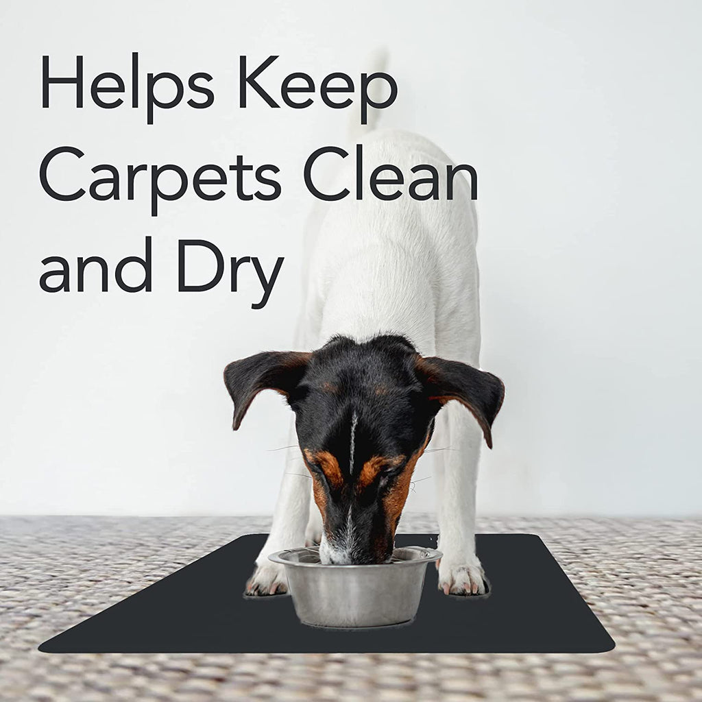 Helps keep carpets clean and dry. Dog on top of black mat.