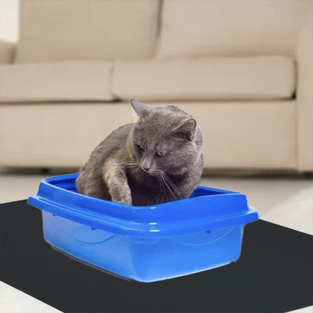 Cat in a litter box on top of a pet cage mat. Contain litter spills and other cat messes