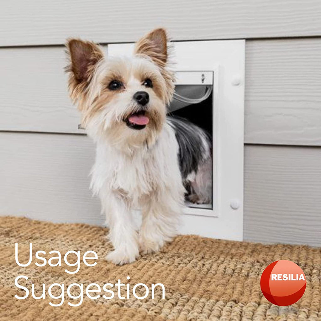 Dog coming through doggy door as a usage suggestion