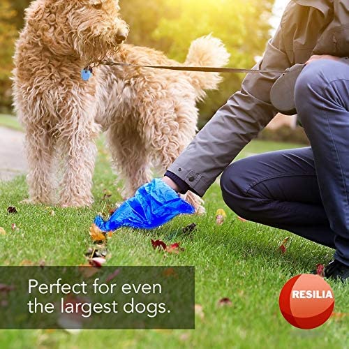 Dog poop bags perfect for even the largest dogs