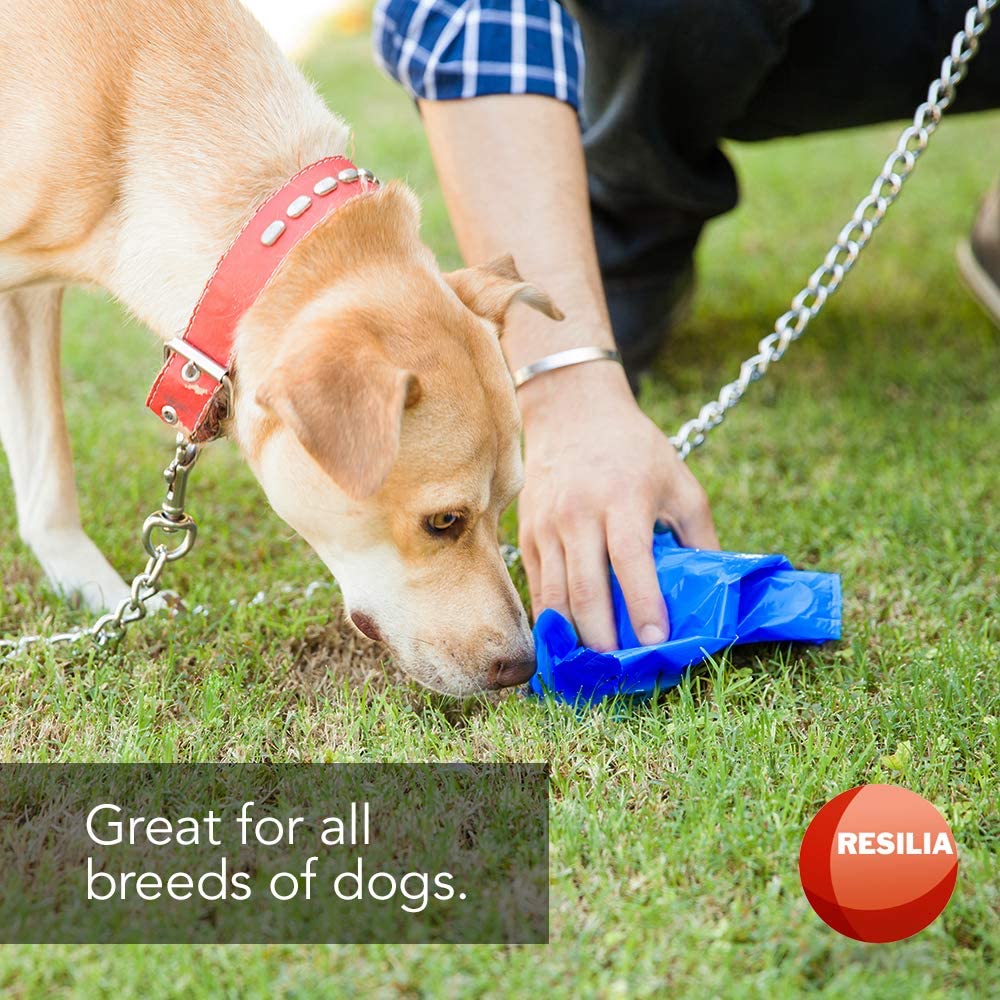 Dog poop bags are great for all breeds of dogs