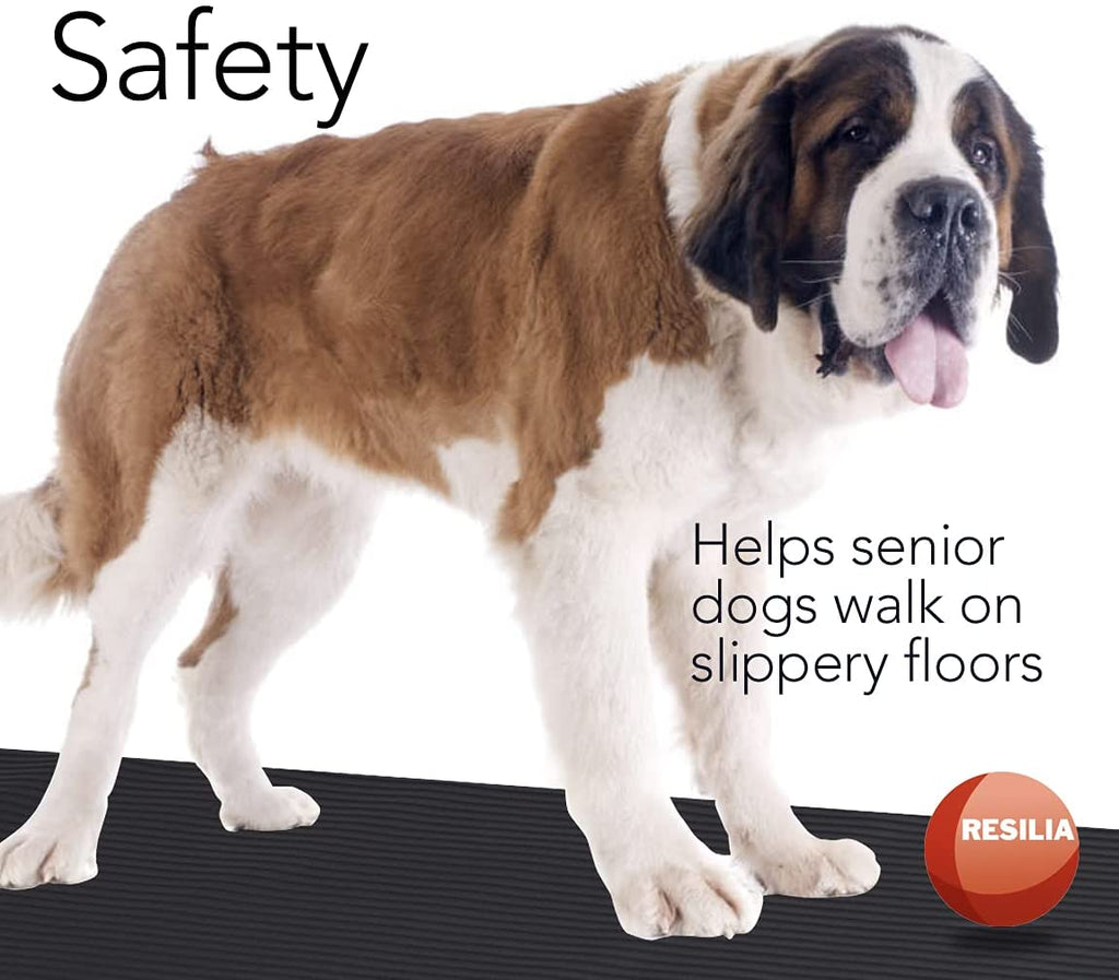 Large dog on top of utility floor runner. Utility runner is safe and helps senior dogs walk on slippery floors